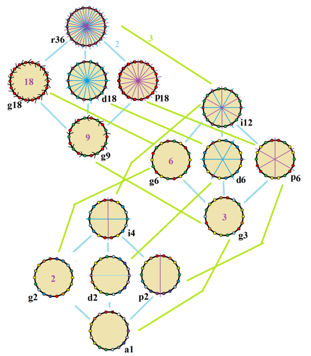 Simetries d'un octodecàgon regular. Els vèrtexs estan acolorits per les seves posicions de simetria. Els eixos de simetria blaves es dibuixen a través dels vèrtexs i els morats a través dels costats. L'ordre de gir figura al centre