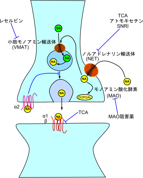 三環系抗うつ薬 Wikiwand