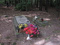 English: Evangelical cemetery in Szczechy Wielkie Polski: Cmentarz ewangelicki w miejscowości Szczechy Wielkie