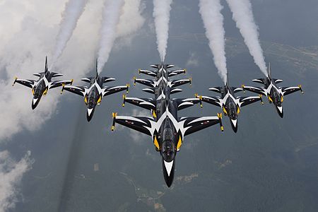 T-50B Blackeagles Demo Flight (12201493173).jpg