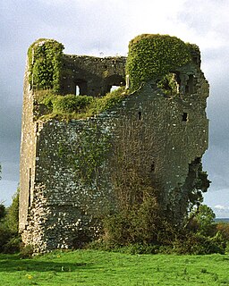 <span class="mw-page-title-main">Killuran</span> Civil parish in County Clare, Ireland