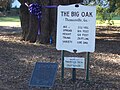 The Big Oak all signs