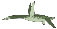 Life restoration Thililua longicollis.png