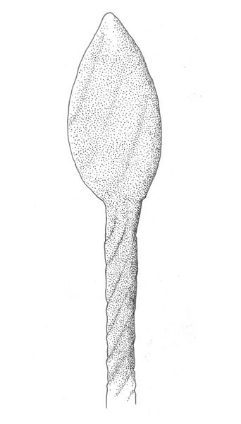 File:Tortilicaulis transwalliensis reconstruccion.jpg