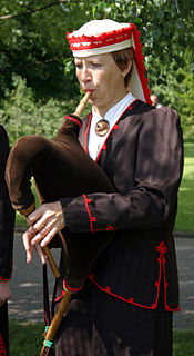 Torupill type of bagpipe from Estonia