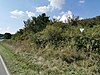 Arid biotope Behrenbusch.jpg