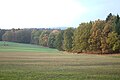 Čeština: Hranice lesa u Tuklek a Spolí při západu slunce, Jihočeský kraj English: Forest boundary near Tukleky and Spole villages during sunset, South Bohemian Region, CZ