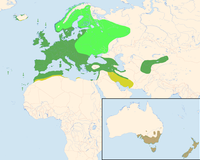 Turdus merula distribution map.png