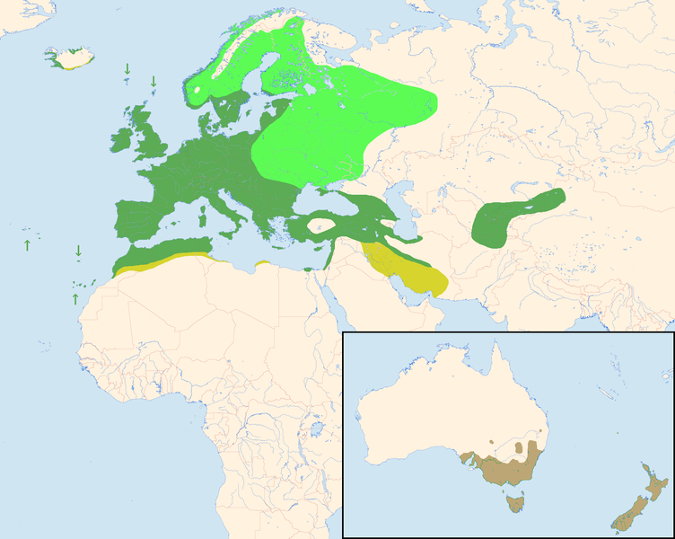 File:Turdus merula distribution map.png