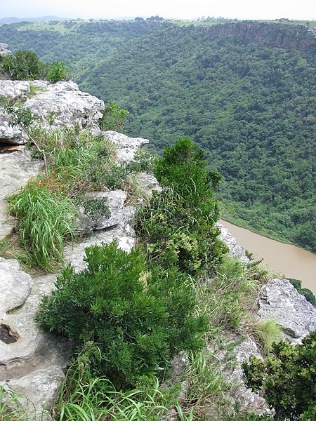 Mtamvuna River Gorge which forms the border between KwaZulu-Natal and the Eastern Cape