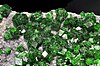 Uvarovite 8 (Russland) .jpg