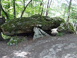 Przykładowe zdjęcie artykułu Allée du Point du Jour