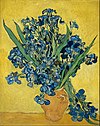 Vincent van Gogh - Irises - Google Art Project.jpg