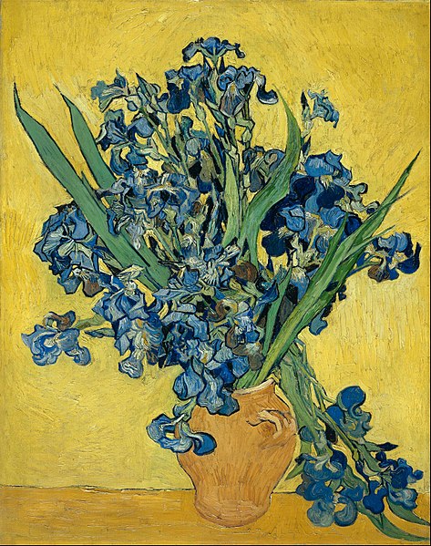 File:Vincent van Gogh - Irises - Google Art Project.jpg