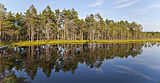 Viru Bog, Parque Nacional Lahemaa, Estonia, 2012-08-12, DD 60.JPG