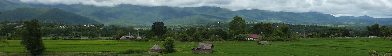 WV banner Mae Hong Son province Rice farms in Pai.jpg