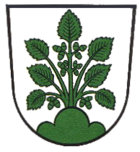 Das Wappen von Haslach im Kinzigtal