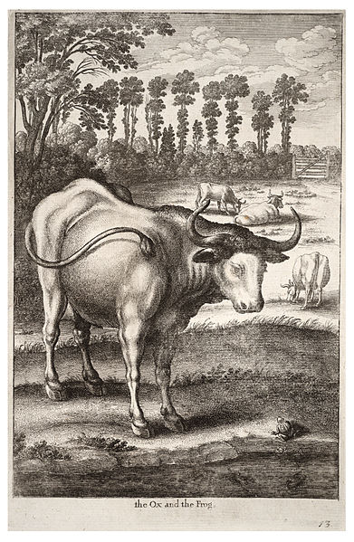 File:Wenceslas Hollar - Ox and frog 2.jpg