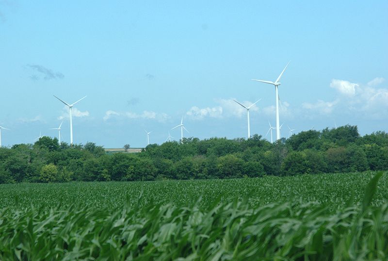File:Wind farm and corn.jpg