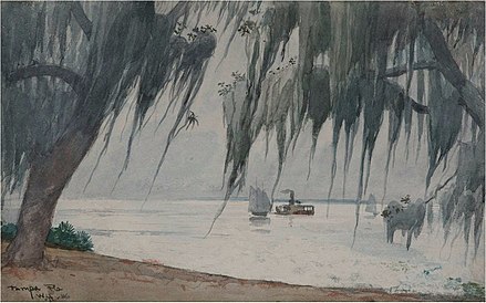 Spanish Moss by Winslow Homer - Tampa Bay, Florida, painting of Spanish Moss swaying from live oak limbs, a familiar scene in Central Florida