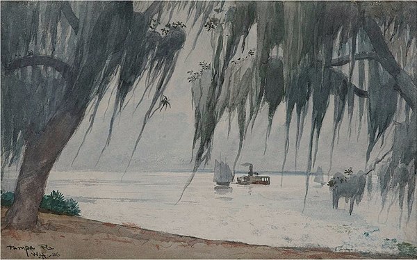 Spanish Moss by Winslow Homer, Tampa Bay, a painting of Spanish Moss swaying from live oak limbs, a familiar scene in central Florida