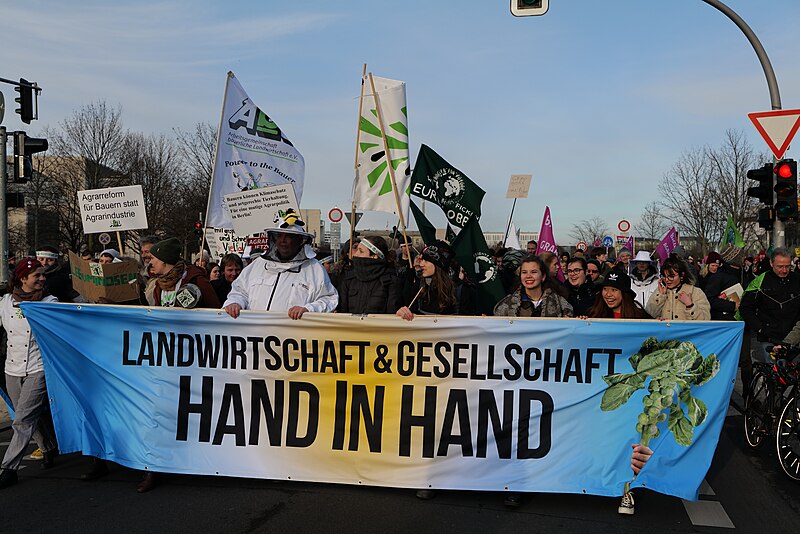 File:Wir haben es satt demonstration Berlin 2020 front 95.jpg