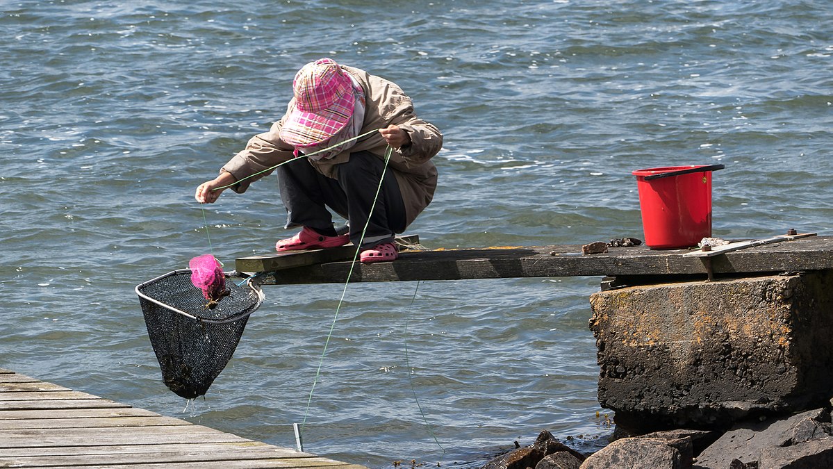 File:Woman fishing for shore crabs 5.jpg - Wikipedia