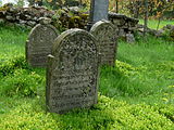 Čeština: Náhrobky na židovském hřbitově u vsi Olšany v okrese Jindřichův Hradec, Jihočeský kraj. English: Gravestones in the Jewish cemetery by the village of Olšany, Jindřichův Hradec District, South Bohemian Region, Czech Republic.