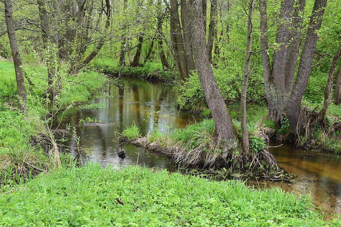 Ласка (річка)