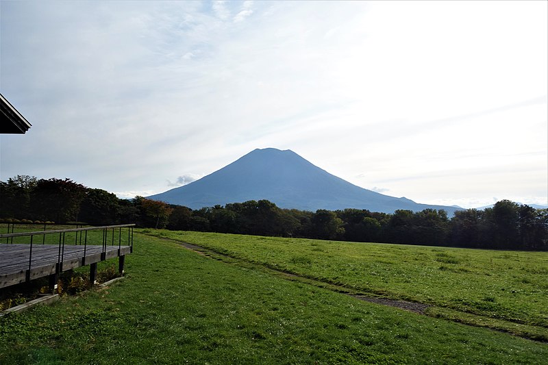 File:ニセコ髙橋牧場からの羊蹄山.jpg