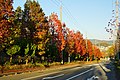 2017年1月3日 (火) 02:53時点における版のサムネイル