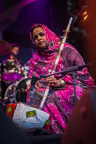 Noura Mint Seymali playing the ardin. 20150705-TFF-Rudolstadt-Noura-Mint-Seymali-7444.jpg