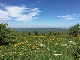 2017-05-16 12 39 22 Blick vom Appalachian Trail in Elk Garden nach Nordwesten über ein Feld innerhalb des nationalen Erholungsgebiets Mount Rogers entlang der Grenze zwischen Grayson County, Virginia und Smyth County, Virginia.jpg