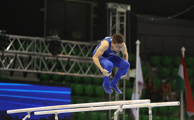 File:2019-06-27 1st FIG Artistic Gymnastics JWCH Men's All-around competition Subdivision 3 Parallel bars (Martin Rulsch) 220.jpg