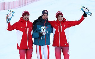 <span class="mw-page-title-main">Alpine skiing at the 2020 Winter Youth Olympics – Boys' giant slalom</span>