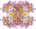 Vignette pour UDP-glucose pyrophosphorylase