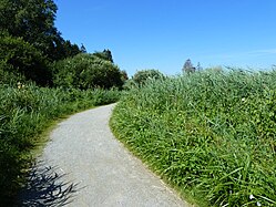 Naturschutzgebiet Federsee