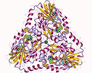 <span class="mw-page-title-main">S-methyl-5'-thioadenosine phosphorylase</span> Class of enzymes