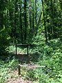 Abandoned playground – Parco urbano dei Camaldoli (Naples)-3.jpg