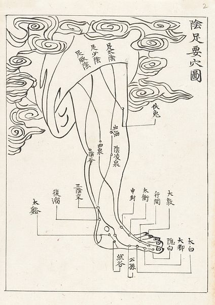 File:Acupuncture points and meridians. The foot Wellcome L0043616.jpg