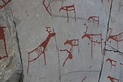 English: Rock art in the world heritage area in Alta, Norway. This is from the area Bergbukten 1, a group of some 900 figures. 23-25 m above sea level, and 6000-7000 years old.