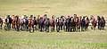 * Nomination Horses in Altai are grown for meat --Alexandr frolov 05:44, 17 March 2019 (UTC) * Promotion Good quality, but you should crop the left to hide the cut animal -- Basile Morin 10:48, 17 March 2019 (UTC) --Basile Morin 10:48, 17 March 2019 (UTC)