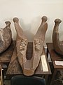en:Anancus arvernensis Croizet & Jobert, en:Byala Slatina at the Sofia University "St. Kliment Ohridski" Museum of Paleontology and Historical Geology