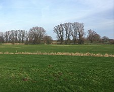 Het landschap in de Angerense buitenpolder