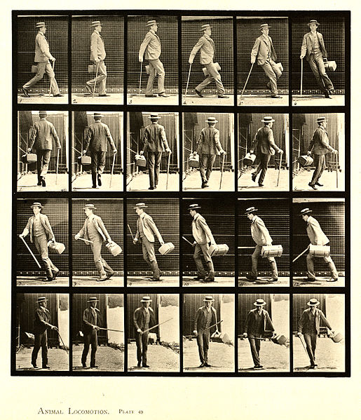 File:Animal locomotion. Plate 49 (Boston Public Library).jpg