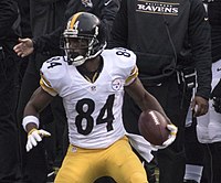 2016 Pittsburgh Steelers season - Wikipedia