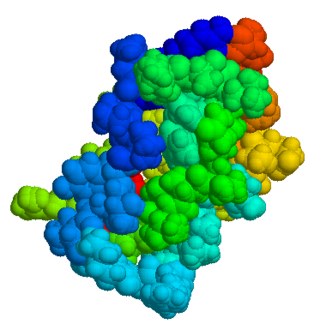 <span class="mw-page-title-main">Aprotinin</span> Antifibrinolytic molecule