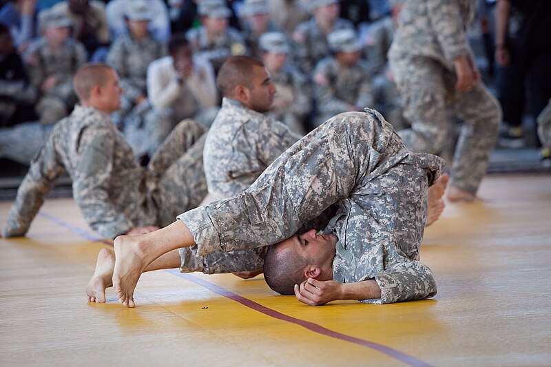 File:Army Combatives stretching (111007-A-HU462-224).jpg