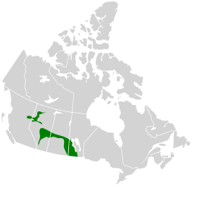 Beskrivelse av Aspen-Parkland.svg-bildet.