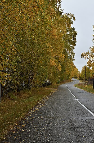 File:Autumn forest after rain (52583308698).jpg